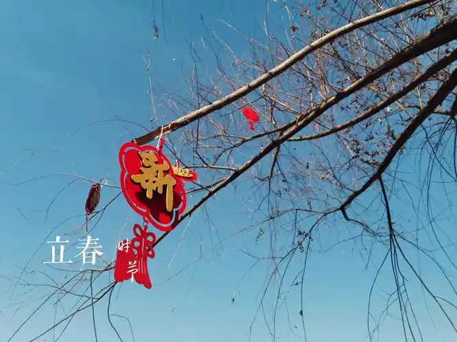 2021 立春 年的味道