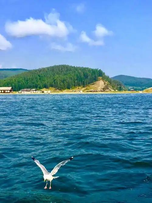 贝加尔湖几乎集所有优点于一身,够大,够深,而且还是淡水湖_湖泊_生活