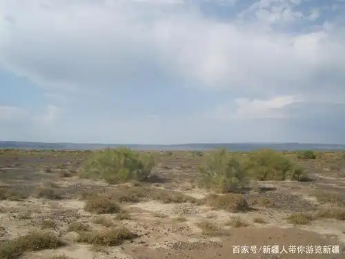 不用出国也能看到澳大利亚半荒漠草原风光