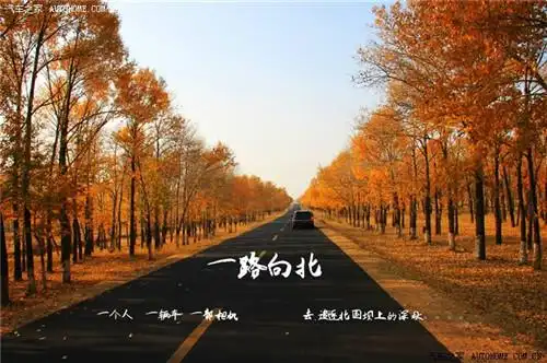 一路向北追逐乌兰布统的深秋