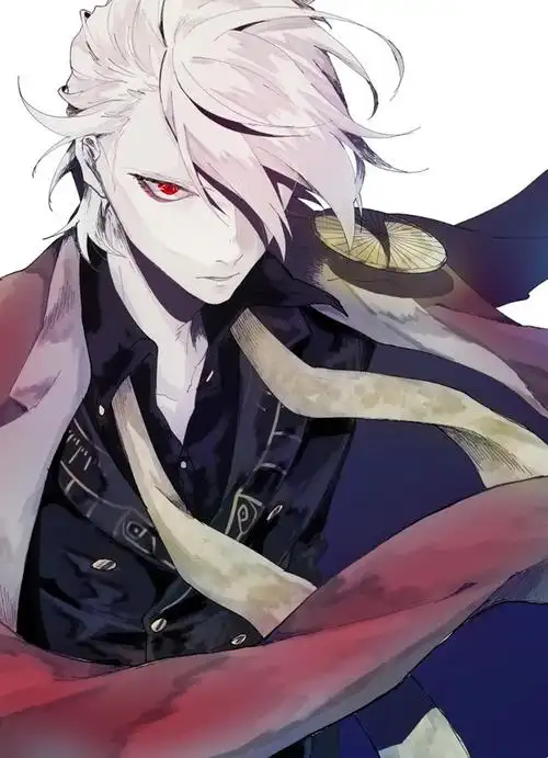 fatefgo迦尔纳小太阳