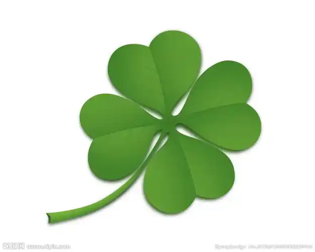 中药四叶草图片