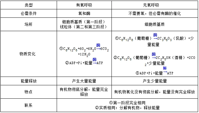 分析 1,有氧呼吸和无氧呼吸的比较