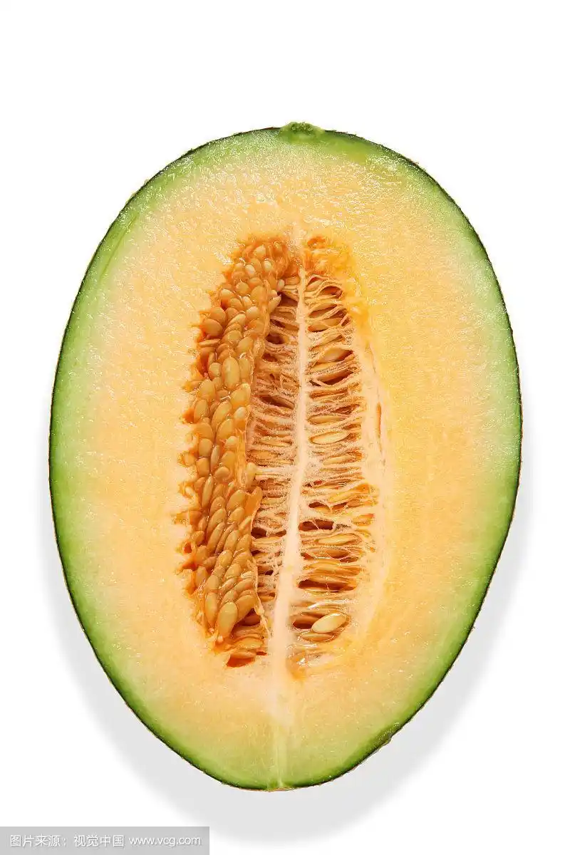 一半切开的哈蜜瓜