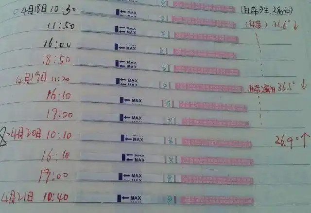 因为受精卵着床成功后,女性体内的激素会发生变化,大量分泌的孕酮