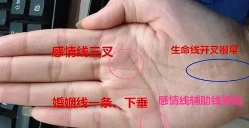 感情线下端有一条补助线,前期护住婚姻没有走向离婚.