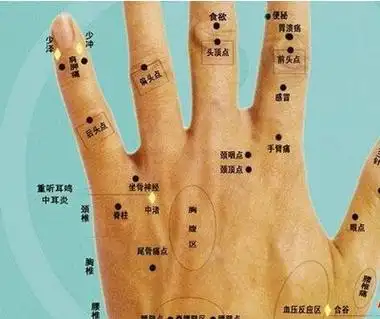 如果拇指或者其周围有痣的话,代表父母亲是自己的贵人,或者父母亲很有