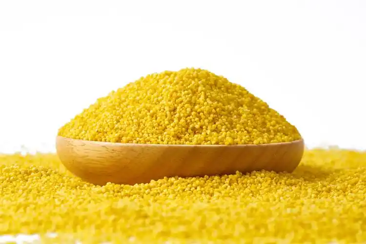 白底木盘一盘黄小米一盘粮食散落粮食散落黄小米