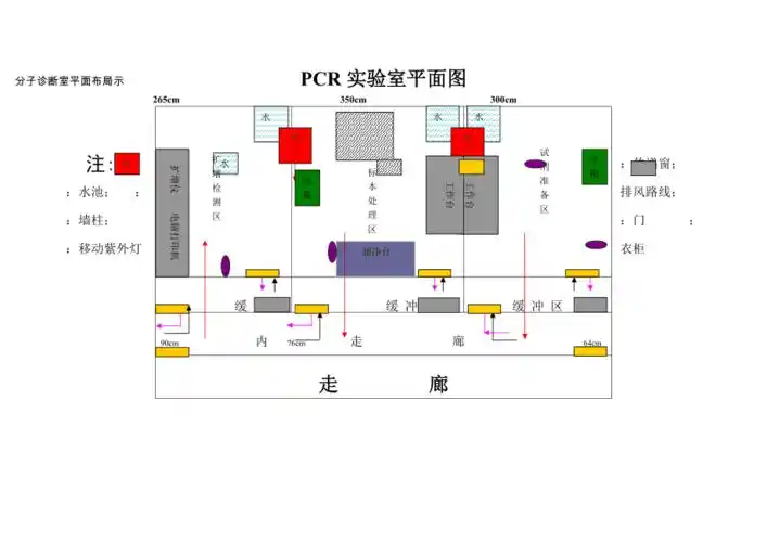 pcr实验室平面图