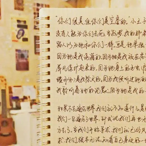 我的那朵玫瑰花,一个普通的过路人以为她和你们一样,可是她单独一就比