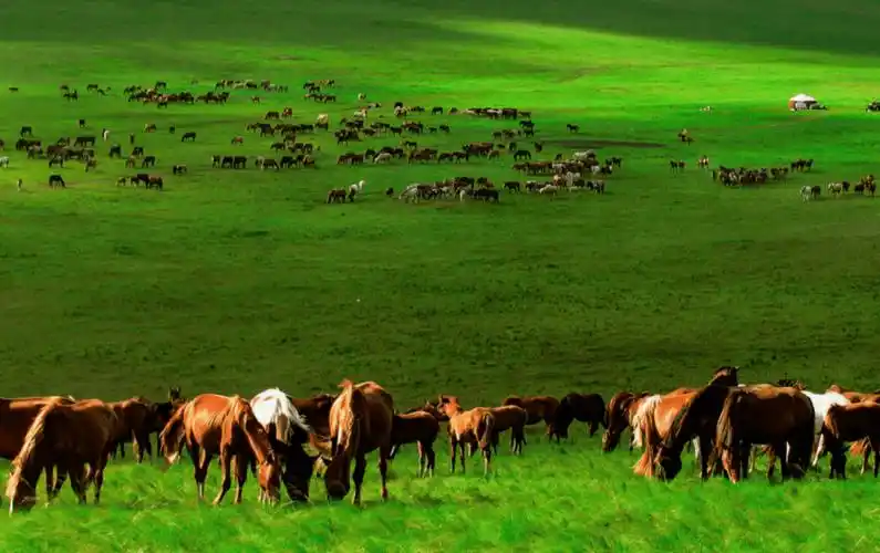 内蒙古风景这边独好