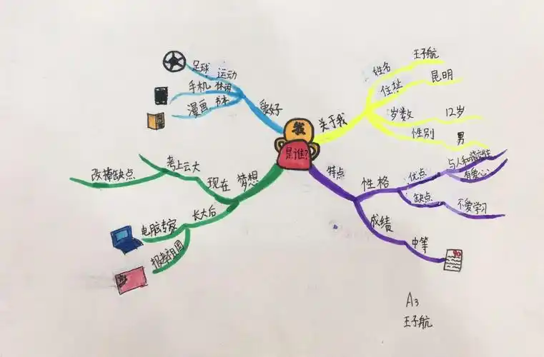 用思维导图画个"我"