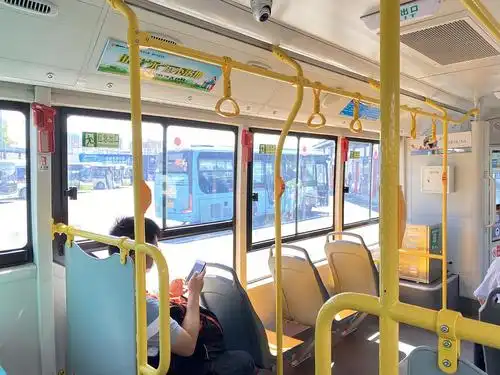 公交车06装下了一整个夏天