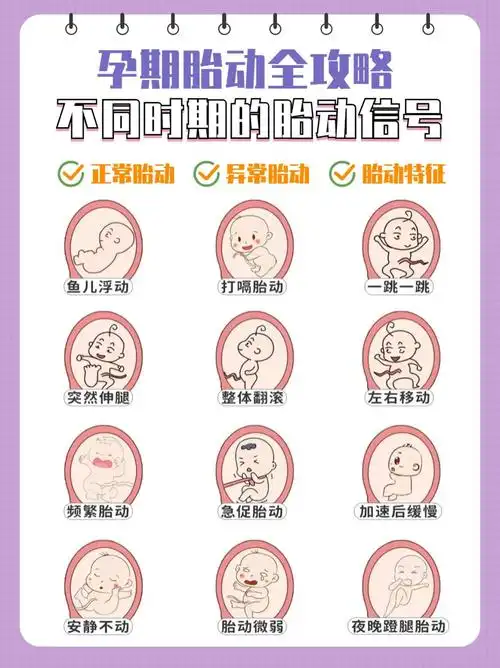 宝宝的喜怒会借此告诉妈妈~可你知道吗71不同时间段的胎动特点是不