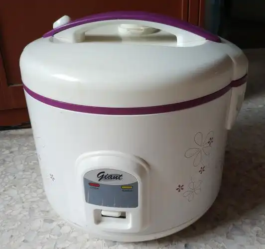 九成新电饭锅20元