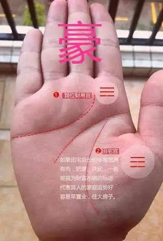 女生手掌财富纹在哪里