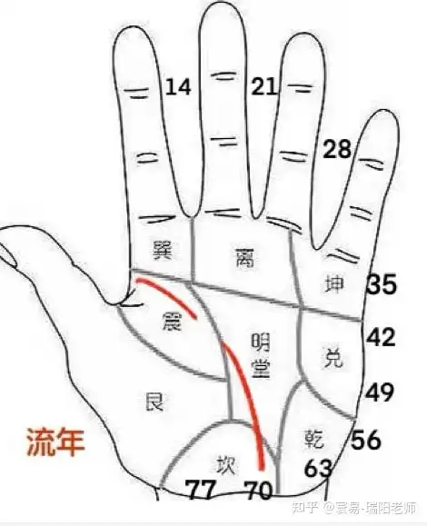 没有辅助线或者井线帮扶,那么有此掌相之人在该流年所处年龄段会不会1