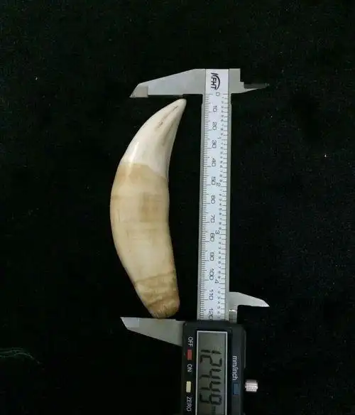 虎牙怎么分辨真假你需要学习了