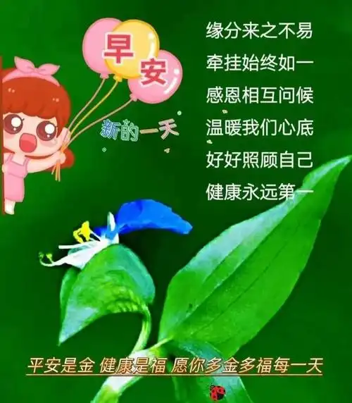 发中老年人的早上好祝福语短信顺心如意的早安心语唯美句子