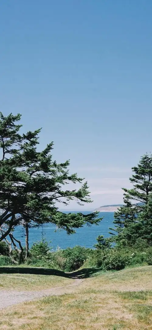 屏l英雄联盟鬼刀不知火舞不良人极简主义2340x1080余颖欣周杰伦林晚儿