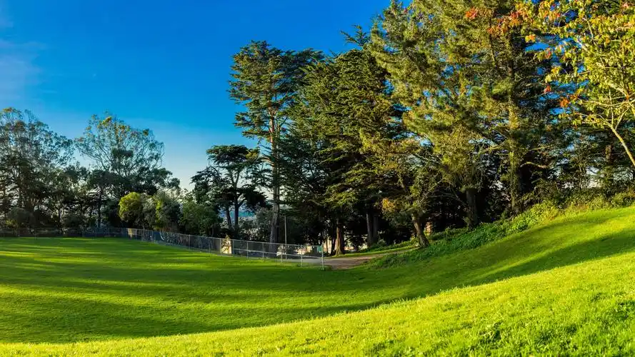 绿油油的草坪,高清图片,电脑桌面-壁纸族