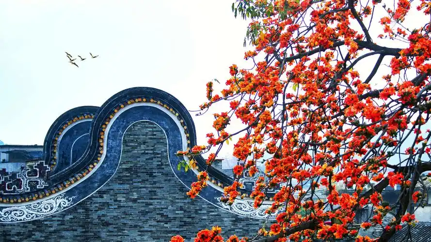 读懂广州·粤韵 - 木棉有关的诗 - 实验室设备网