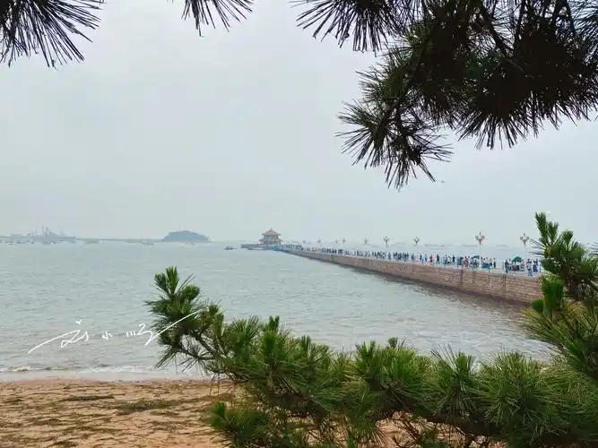 山东青岛的"标志性"景点,已有100多年历史,游客都必须来打卡