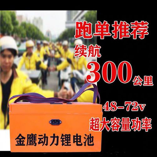 两轮车锂电池48v三轮车电瓶外卖锂电池电动车大容量锂电池48v电瓶