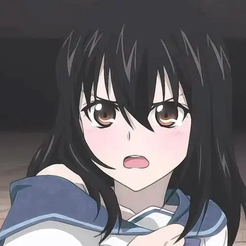 《噬血狂袭》晓古城&姬柊雪菜 #动漫头像##情侣头像##动漫情头