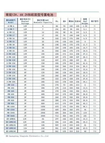 乐珀尔蓄电池lp1001212v100安时环保医用规格参数
