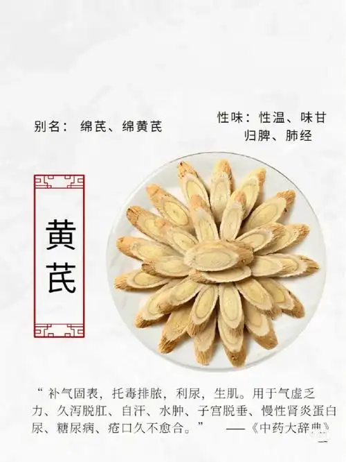 黄芪的功效1,益气固表黄芪甘温,入脾经,为补益脾气之要药,可治疗脾