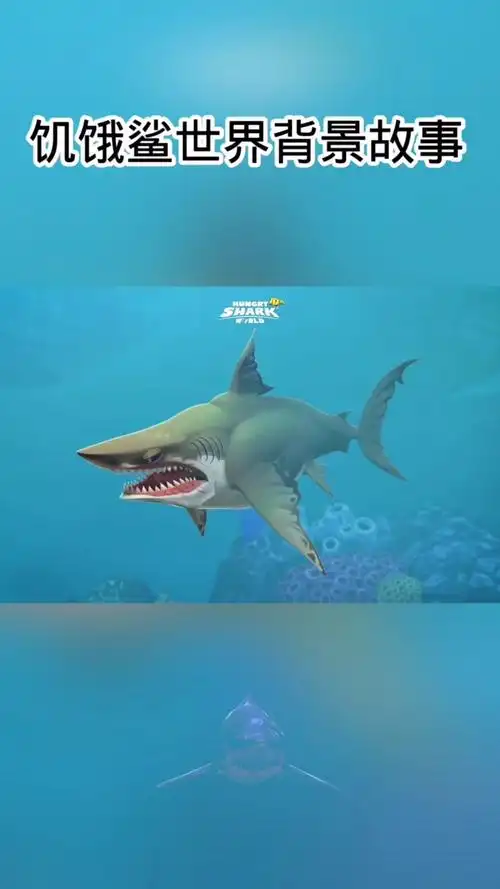 饥饿鲨背景的故事,用动画告诉你