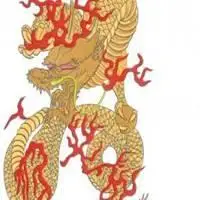 个性霸气龙虎头像龙虎图纹微信头像点击鼠标右键下载