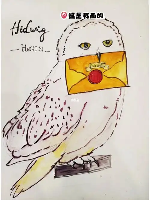 第一次画钢笔淡彩,不是原创.#钢笔淡彩  #哈利波特 #海德薇