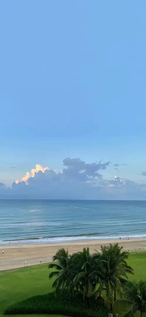 813壁纸,盛夏凉风拂|夏天|蝉鸣_网易订阅