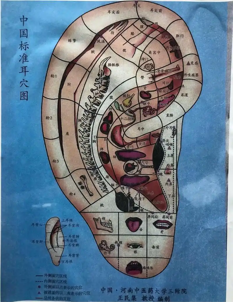 人类耳朵是一个复杂而精妙的器官,这些有趣的冷知识是不是让你对自己