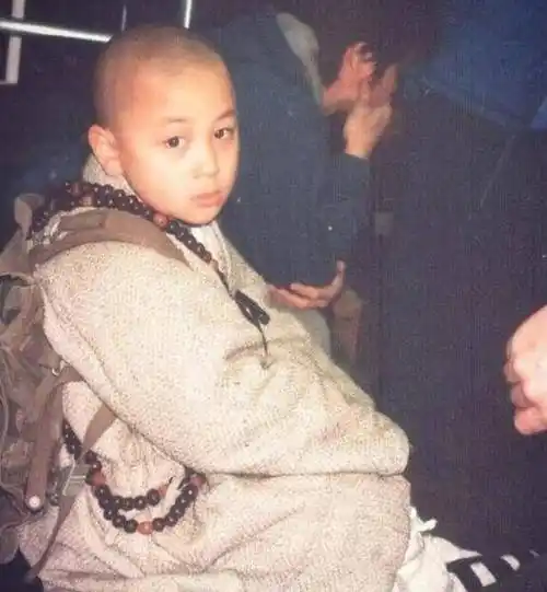 原创2岁开始练武5岁爆红如今却无人问津释小龙经历了啥