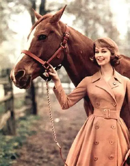 有了夜总会和脱衣舞娘,还有有奥黛丽·赫本,英格丽·褒曼,马龙