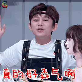 口红王子何炅真的好生气生气soogifsoogif出品gif动图_动态图_表情包