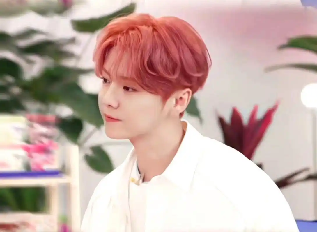鹿晗又染粉发,重回颜值巅峰