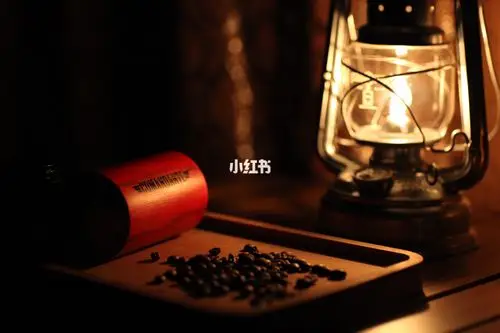 颜值即正义_素材_素材_文字素材