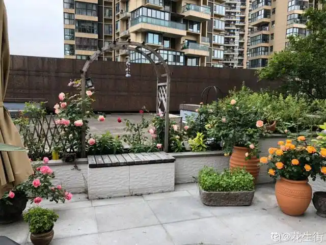 造花园,一定不能少这3种花,每一种都是当之无愧的开花机器!