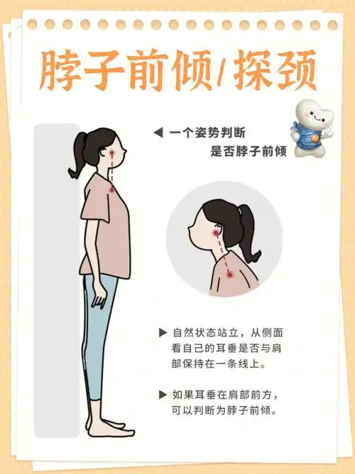 比如说低头玩手机,不良坐姿,睡觉时枕头过高等,都会造成脖子前倾,驼背