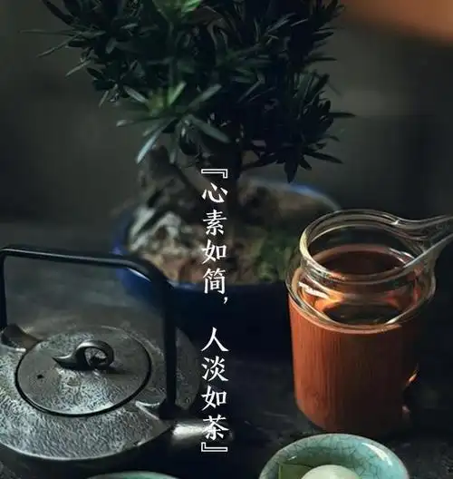 茶文案短句100条一句茶语发朋友圈文案
