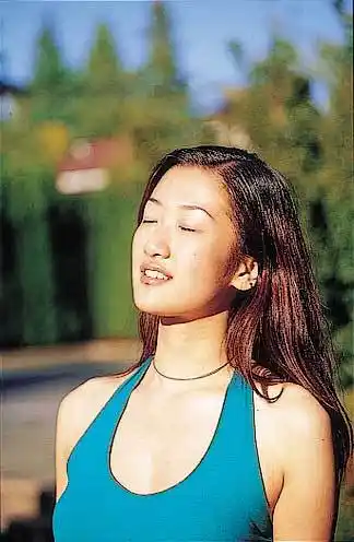 谁有谢婷婷的挡案