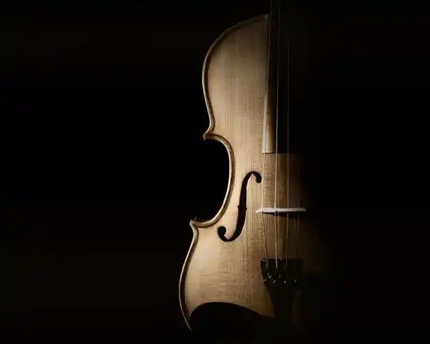 音乐,小提琴,乐器,乐器之后壁纸