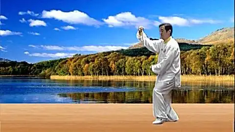 b>正雷 /b>太极书院| b>陈正雷 /b>老师 b>老架二路教学 /b>第二十式