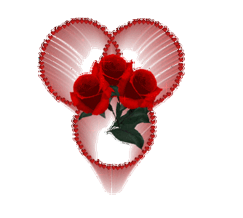 动态的花素材大全