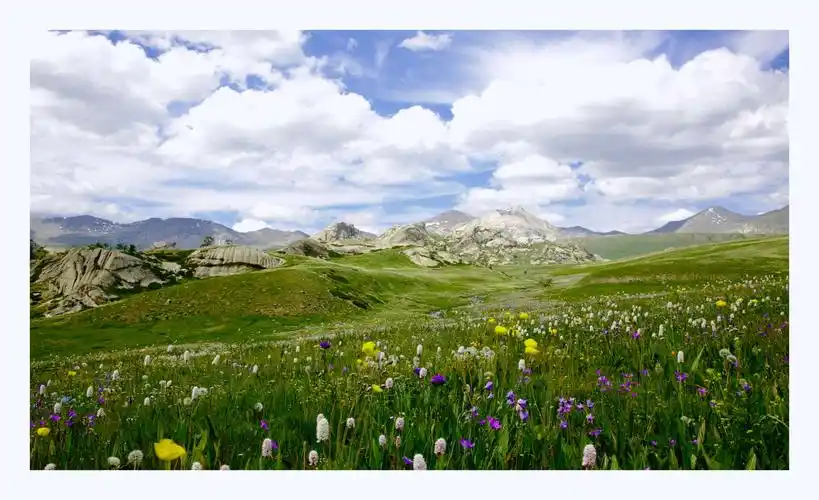 最美的高山草原---辉腾阿恰