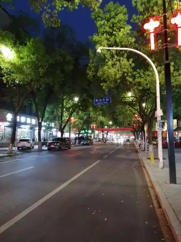 街道夜景,车辆行驶相当规范,汽车礼让行人中规中矩.